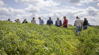 Gert Harm Ten Bolscher staat met meerdere mensen op het veld (werkbezoeken eiwitten)